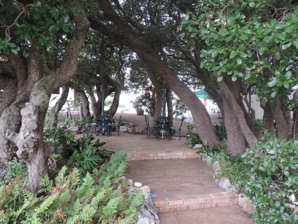 Milkwood Lodge Hermanus Luaran gambar