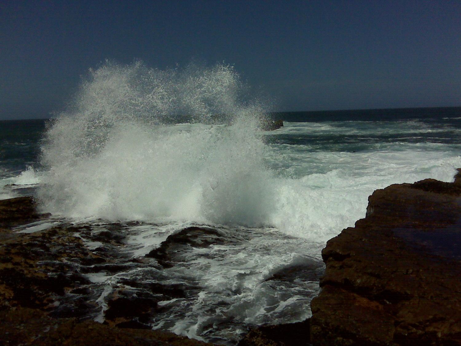 Milkwood Lodge Hermanus Luaran gambar