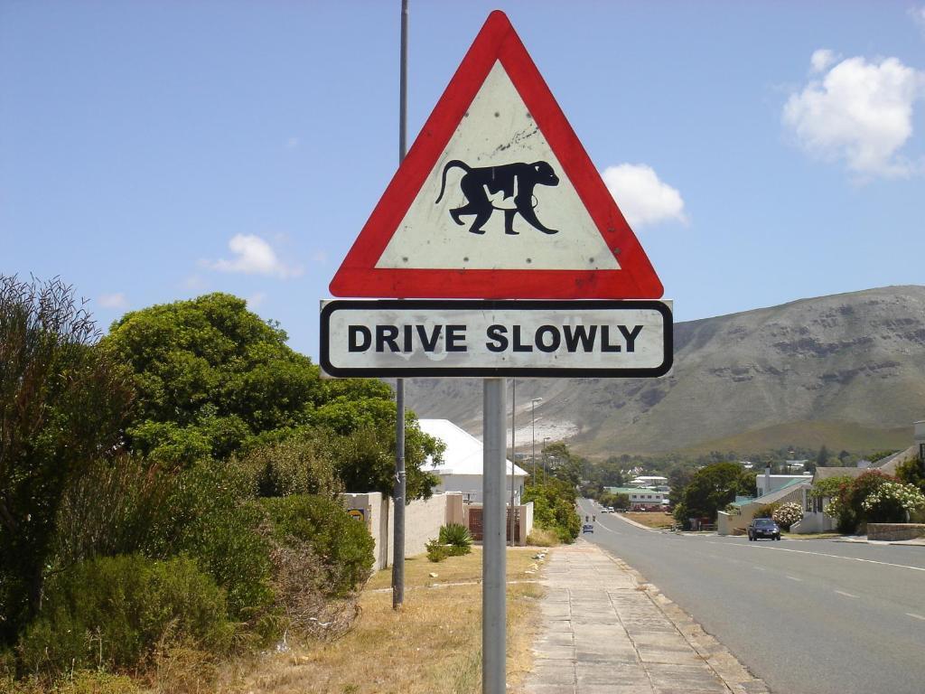 Milkwood Lodge Hermanus Bilik gambar